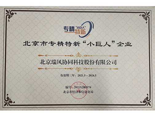 北京市专精特新&ldquo;小巨人&rdquo;企业证书